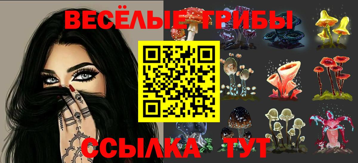 Псилоцибиновые грибы мицелий Куйбышев